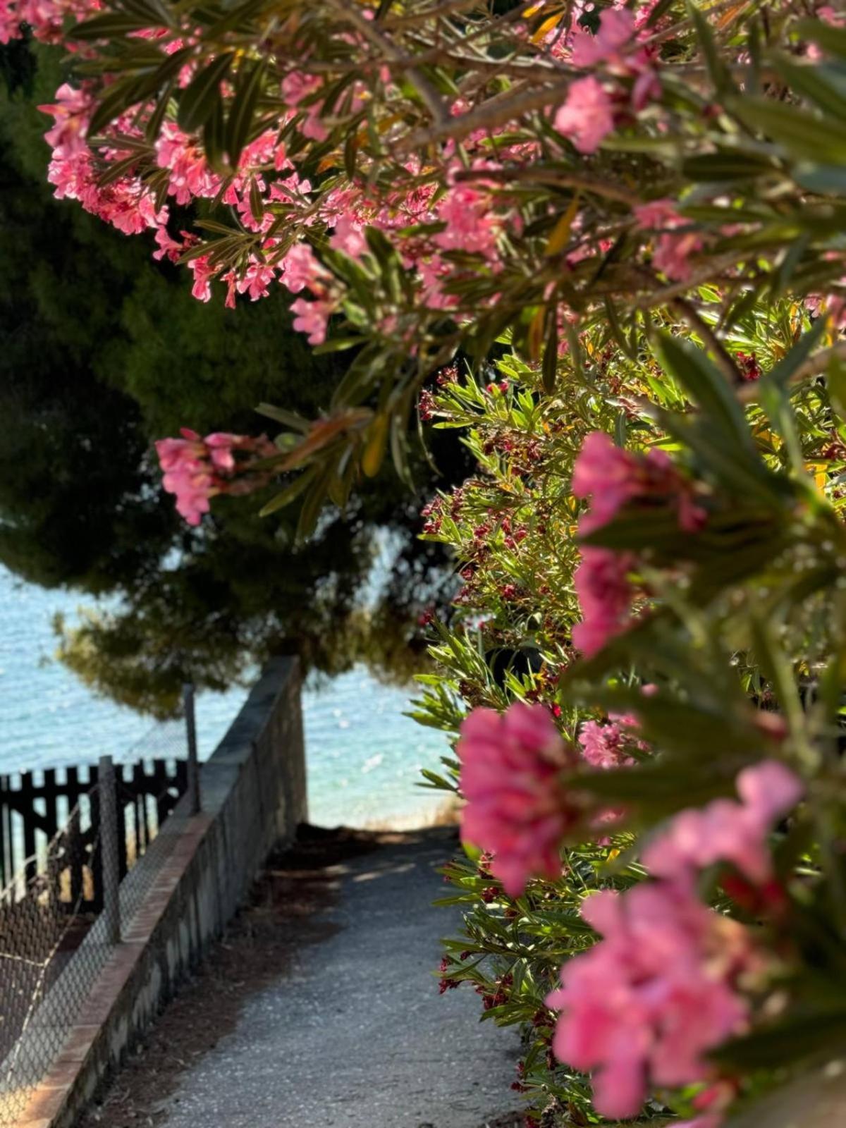 Villa Stadi Nikiti  Exterior foto